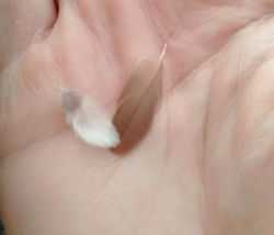 IMG20220418072208_edited