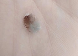 IMG20220302104227_edited