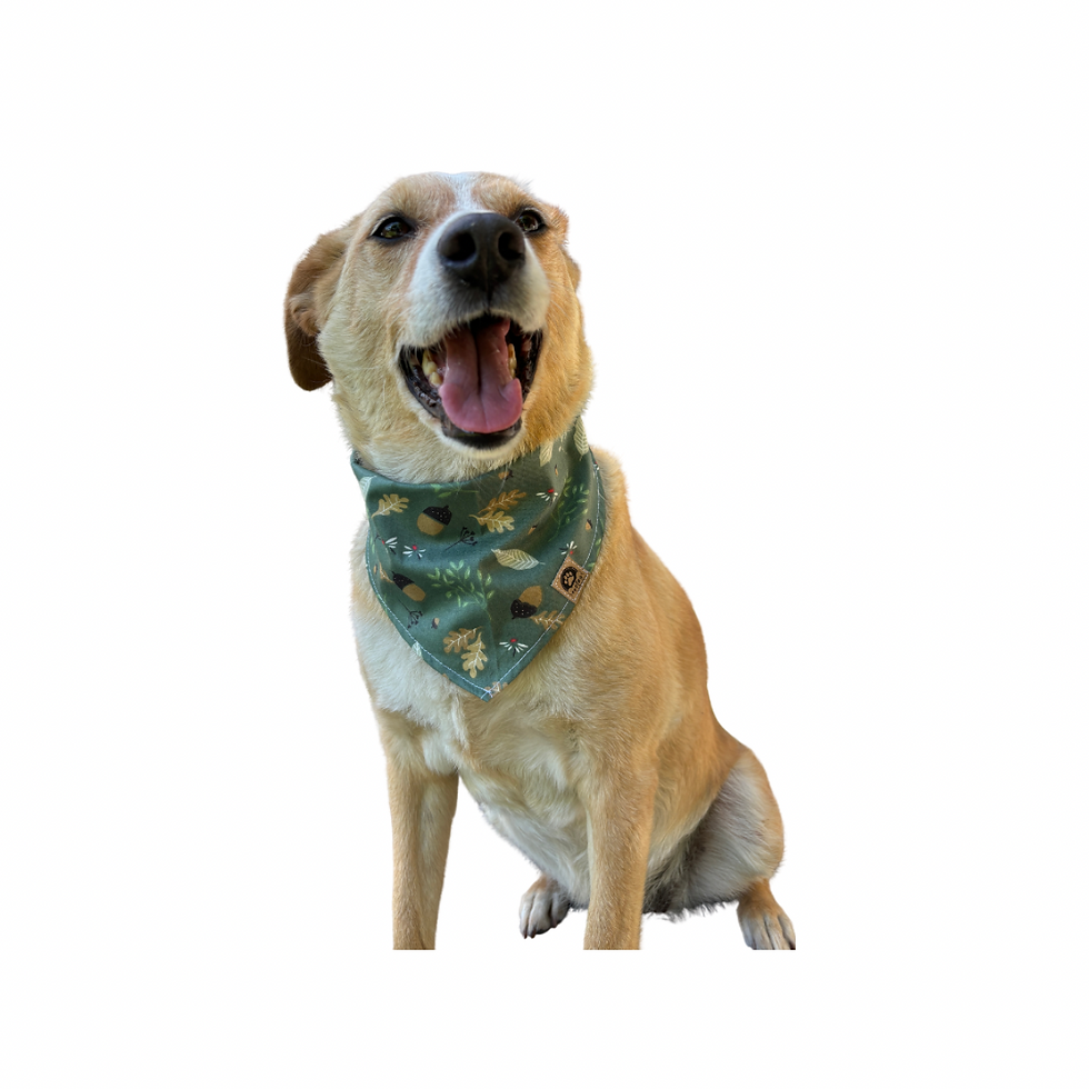 Miniatura: Bandana