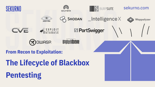 The Lifecycle of Blackbox Pentesting: From Reconnaissance to Exploitation