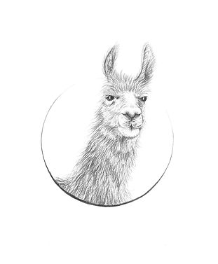 261EDACE-C3B3-4E88-BCD2-B00A4DC27E93_edi