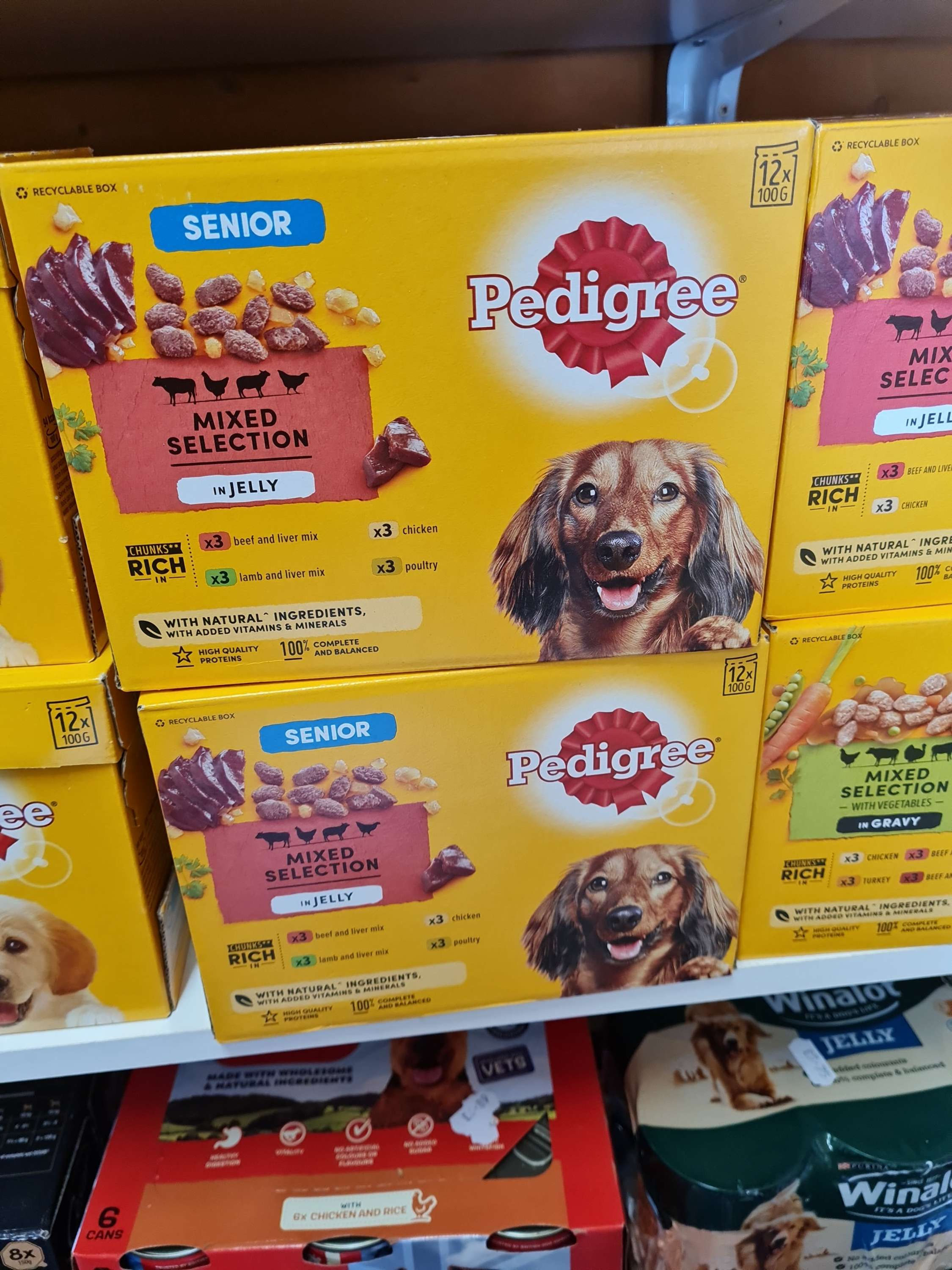 Pedigree senior mixed in jelly x12 100g