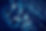 AdobeStock_731281152.jpeg