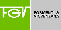 logo_FGV_color.png