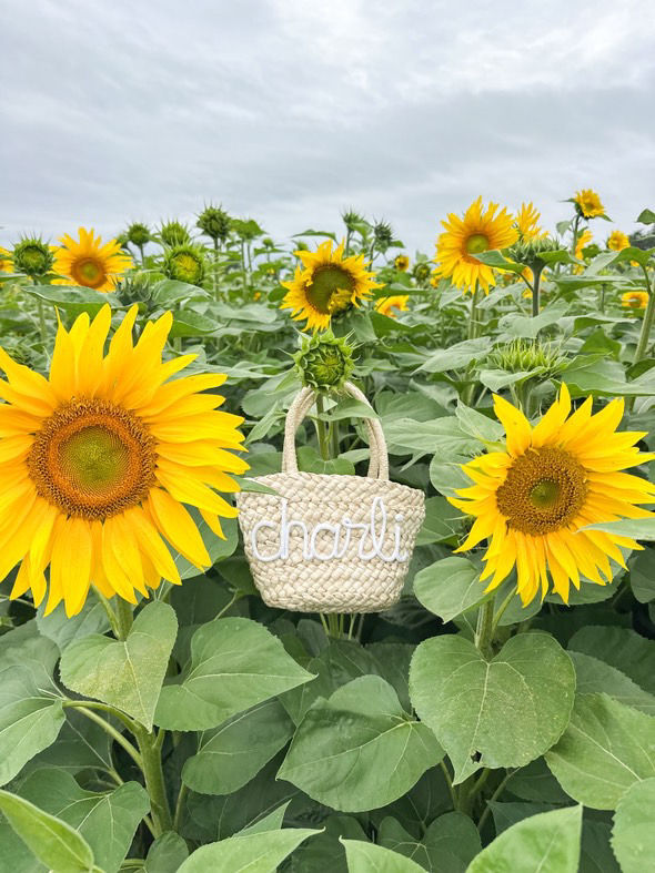 Thumbnail: Personalised Beach Bag