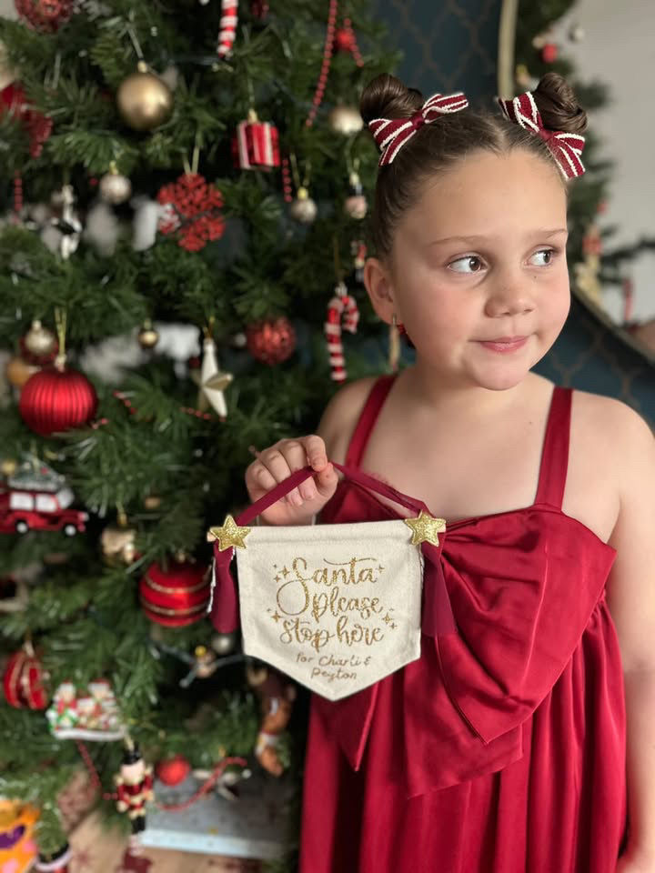 Thumbnail: Santa Stop Here Hanging Pennant 