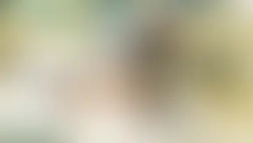 Grupper Åby Gård 7/6