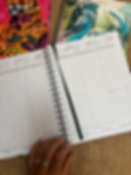 Miniatura: Agendas