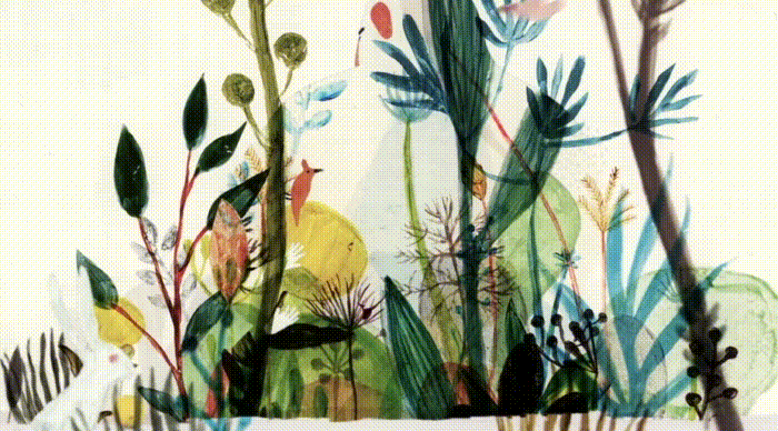 мультфильмы