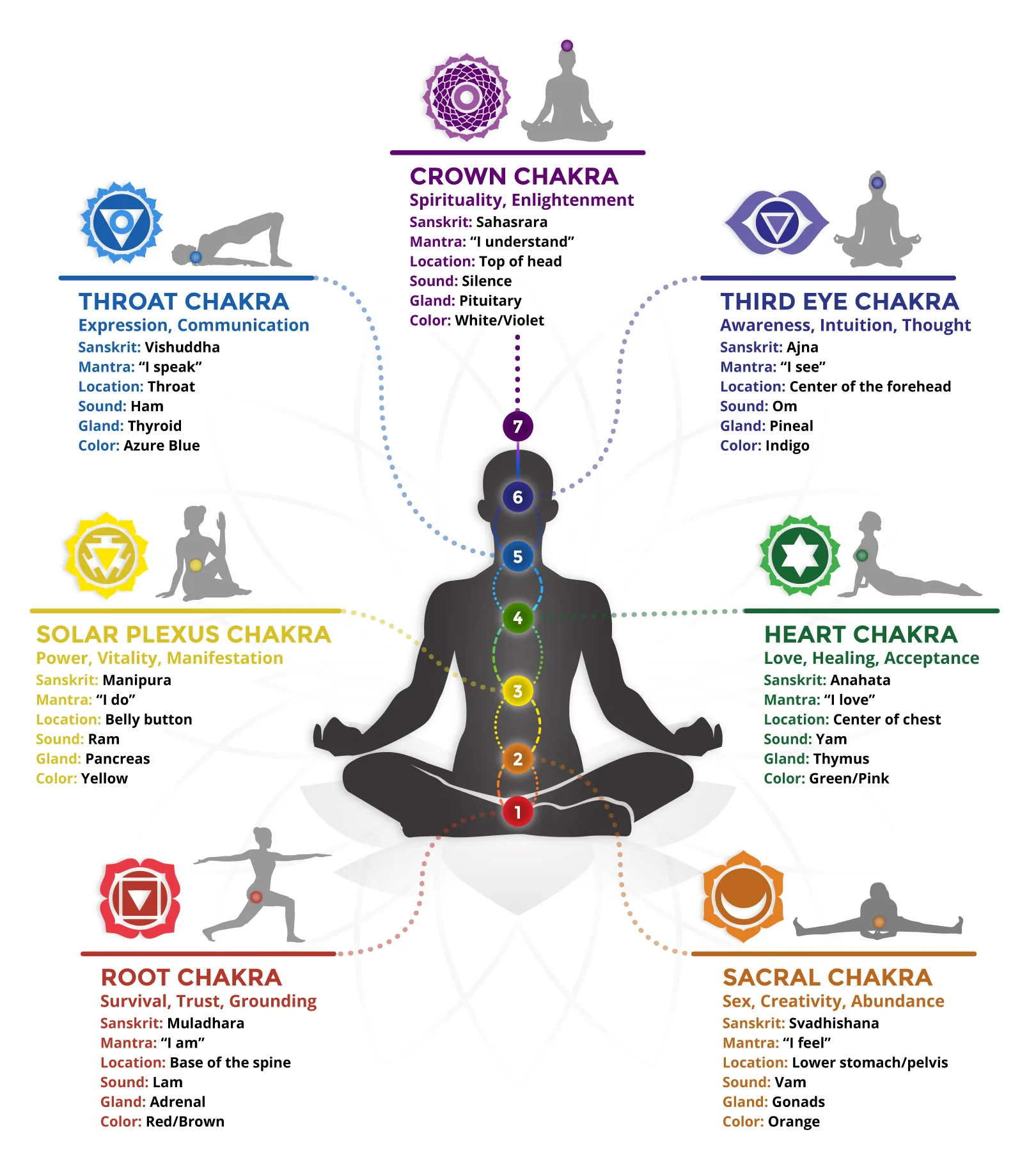 chakra.webp