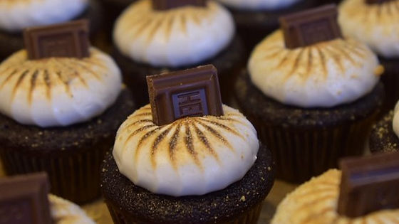 Smores Mini Cupcakes