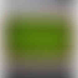 Cuadro de musgo preservado tratado químicamente, sin vida.