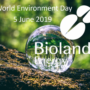 FB Post World Environment Day.PNG