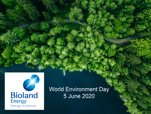 WORLD ENVIRONMENT DAY 2020