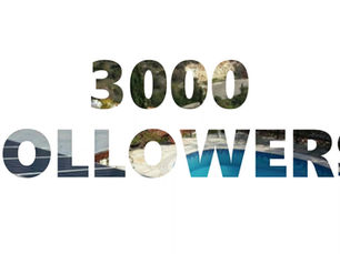 3000 Facebook Followers