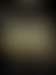 Fourth Wing: Dragons, Drama and Déjà Vu — My Honest Take