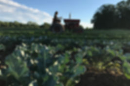 Farmer Alec on the tractor