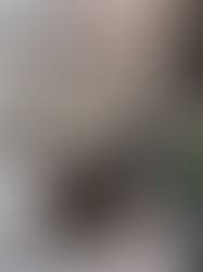 The Ultimate Guide to Nashville