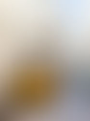 A Complete Guide to Lisbon, Portugal