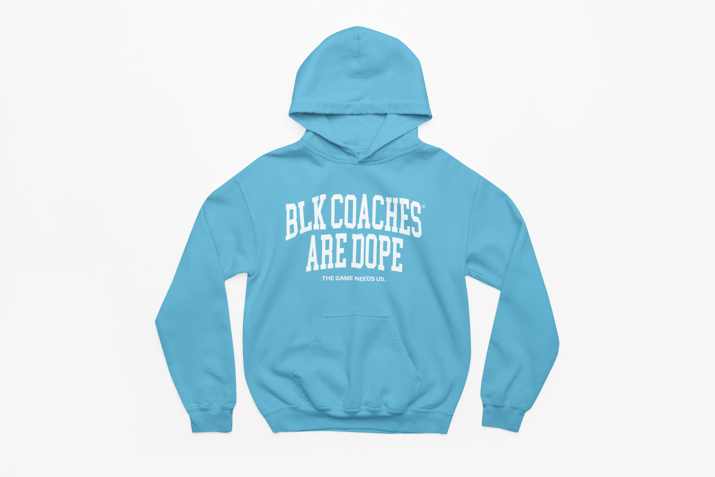 BCAD Big Arch (Puff Print) | Hoodie- Carolina