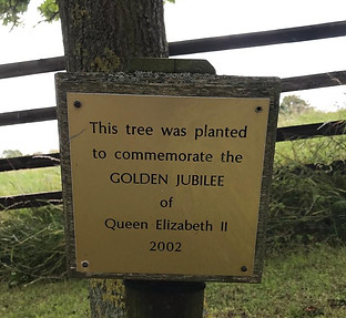 Golden Jubilee Tree Plaque