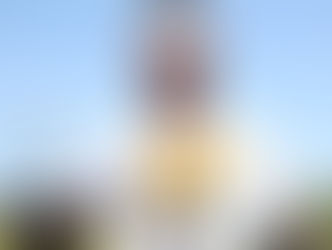 Scout.com Top 10 Defense!