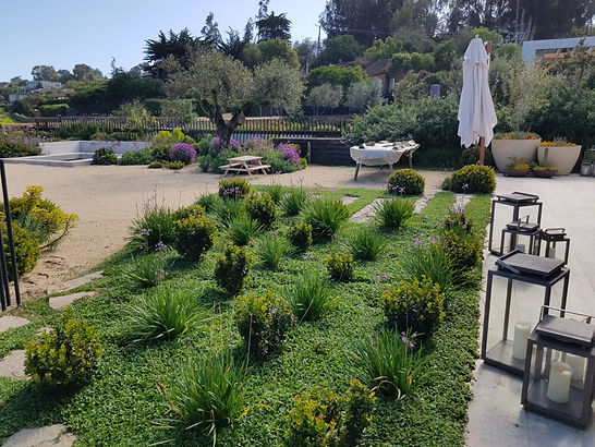 WhatsApp Image 2025-07-29 at 20.39.18 (3).jpeg