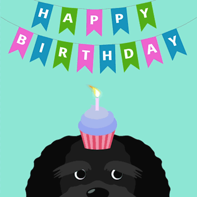 Happy-Birthday-Dog.gif