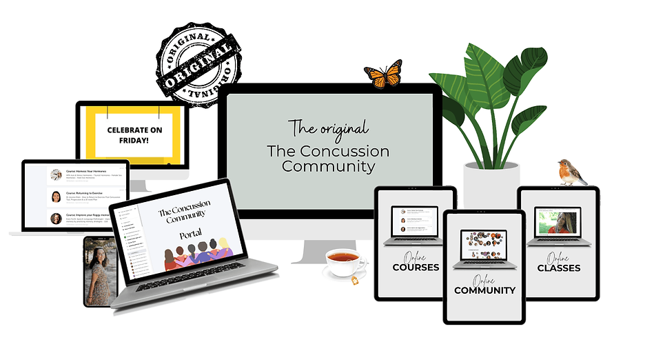 LIVE CLASSES + ALL RECORDINGS - COURSES - DOWNLOADS & PRIVATE COMMUNITY (69) (1).png