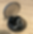 Loop Experience Review