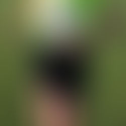 Silver medal for Karen at the BMAF cross-country championships at Bangor