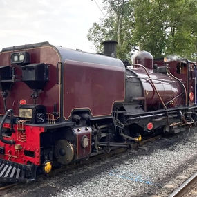 Runners were on track to Race the Highland Train at Caernarfon in midweek...