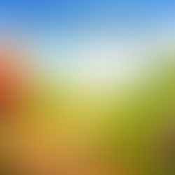 Join the exciting world of Virtual Events that can be completed in your own time, with limited costs, genuine recognition and superb medals.