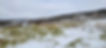 20211105_102911.jpg