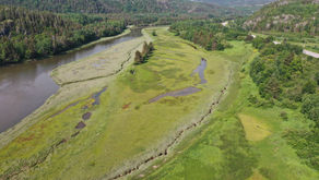 Connaissez-vous les milieux humides ?
