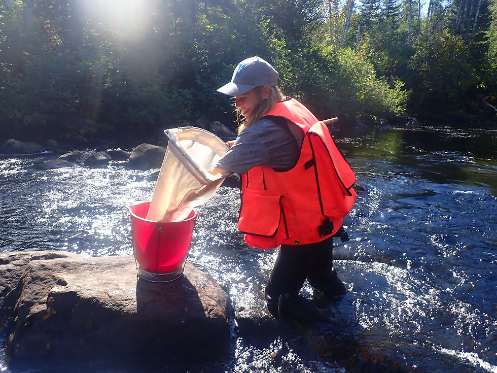 Nettoyage du filet entre les “coups”