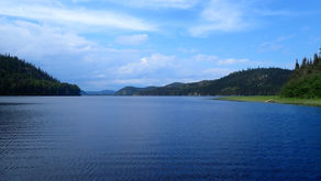 Nouveau directeur général