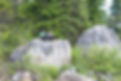 pourvoirie_kergus_353.JPG