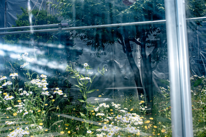 DSC_1455.jpeg