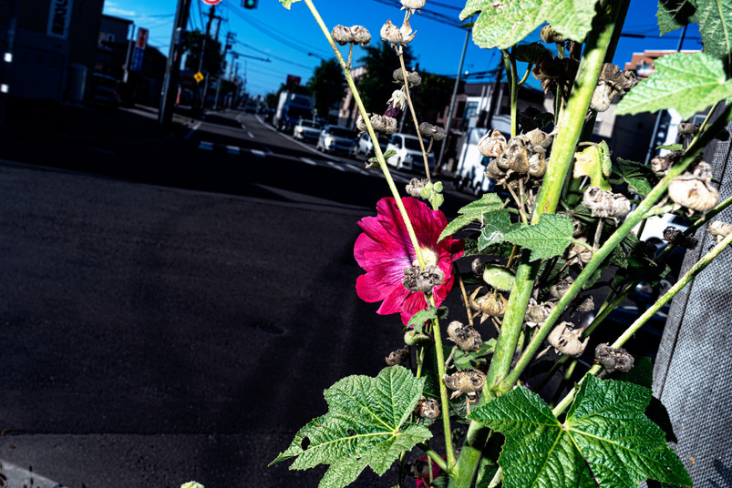DSC_2924.jpeg