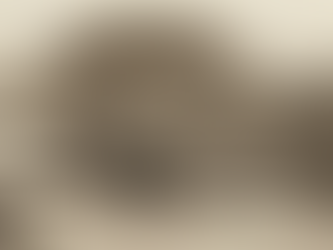 The Panama Protocol: Navigating Complexity with Dataverse