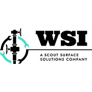 Wsi Enterprises Inc logo