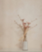 20250730 Livia Espace Beauté-9069.jpg