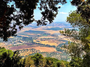 A beautiful view of northern Israel taken on a quick trip up north, aka the Tuscany of Israel