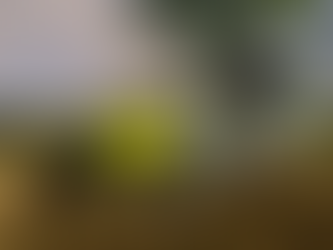Development Update - 15/5/2026