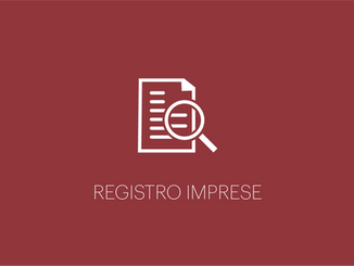Registro imprese