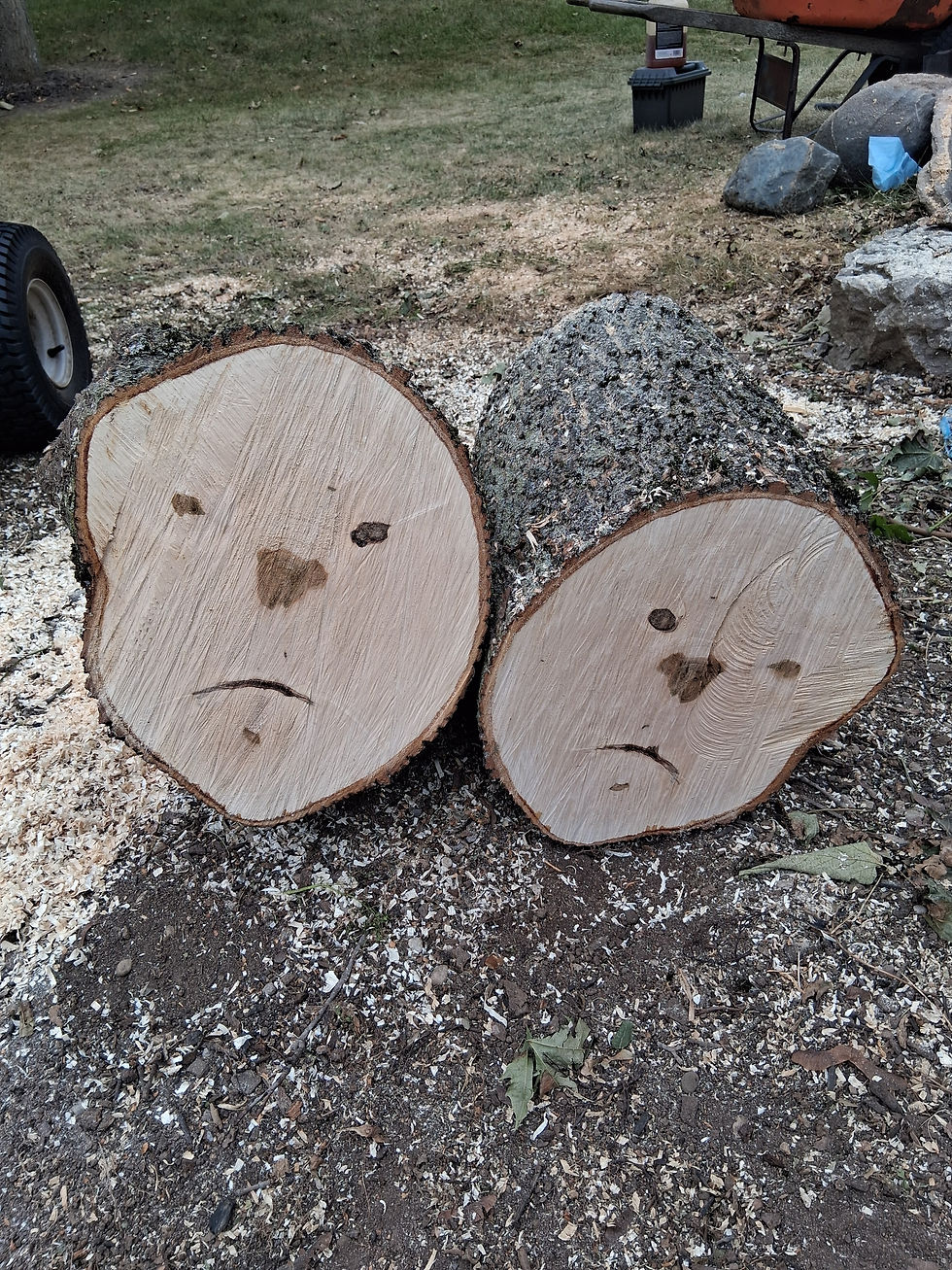 A tree-mendous goodbye: Paris couple finds a sad surprise inside beloved maple