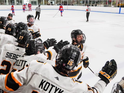 Braves drop game five in Essex County