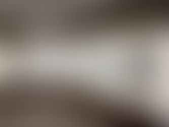 Decoy and outdoor collectable show to be held at Backus