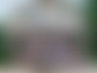 Crooked Stovepipe Folk Orchestra continues to grow